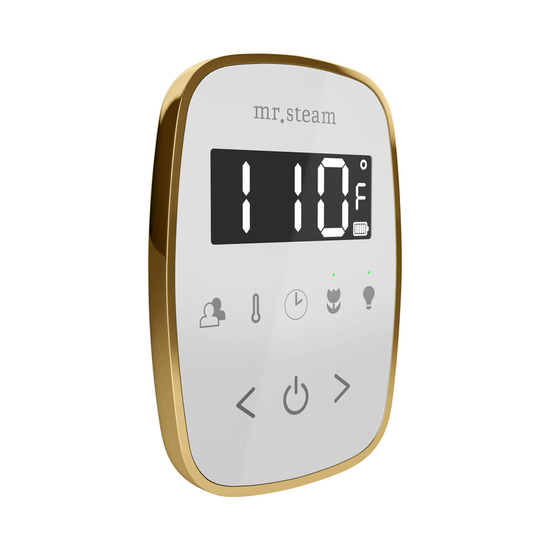 TempoFlex Steam Shower Control and Steamhead in White Polished Brass — White - Polished Brass