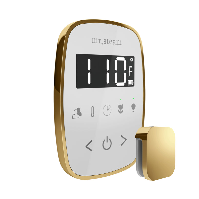 TempoFlex Steam Shower Control and Steamhead in White Polished Brass — White - Polished Brass