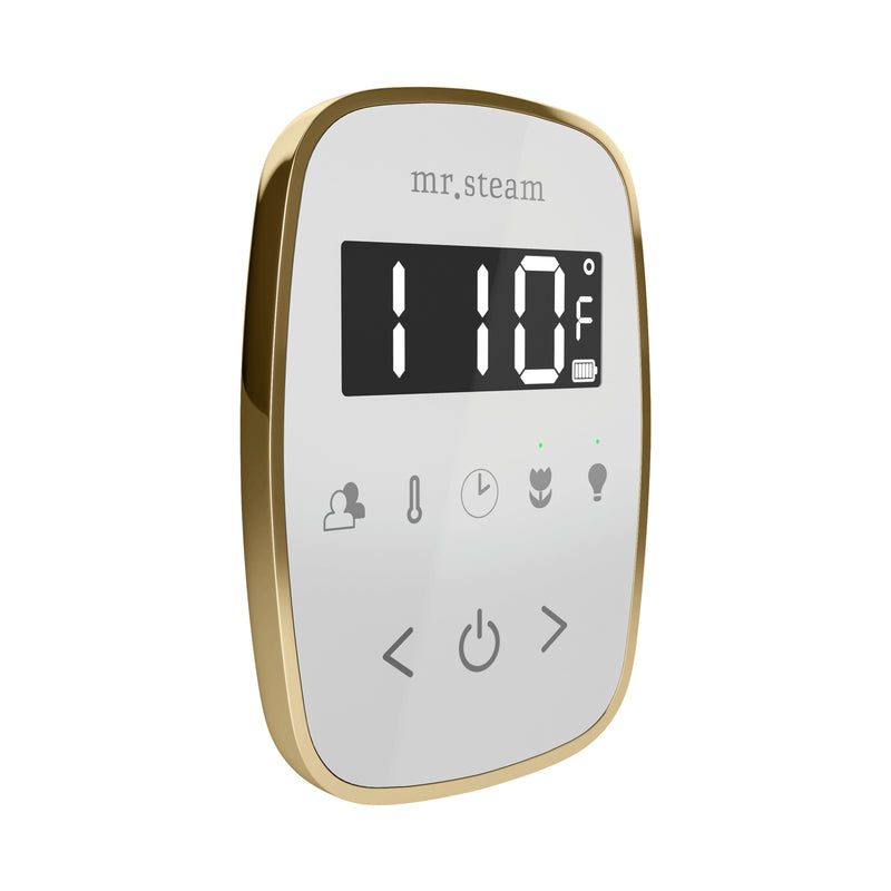 TempoFlex Steam Shower Control and Steamhead in White Satin Brass — White - Satin Brass