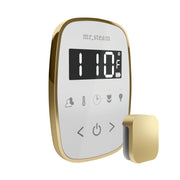 TempoFlex Steam Shower Control and Steamhead in White Satin Brass — White - Satin Brass