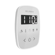 TempoFlex Steam Shower Control and Steamhead in White — White - White
