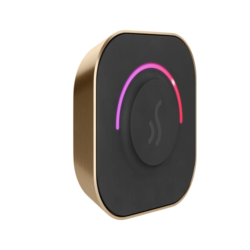 Mr. Steam TempoTouch Steam Shower Control and Steamhead — Brushed Bronze