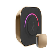 Mr. Steam TempoTouch Steam Shower Control and Steamhead — Brushed Bronze