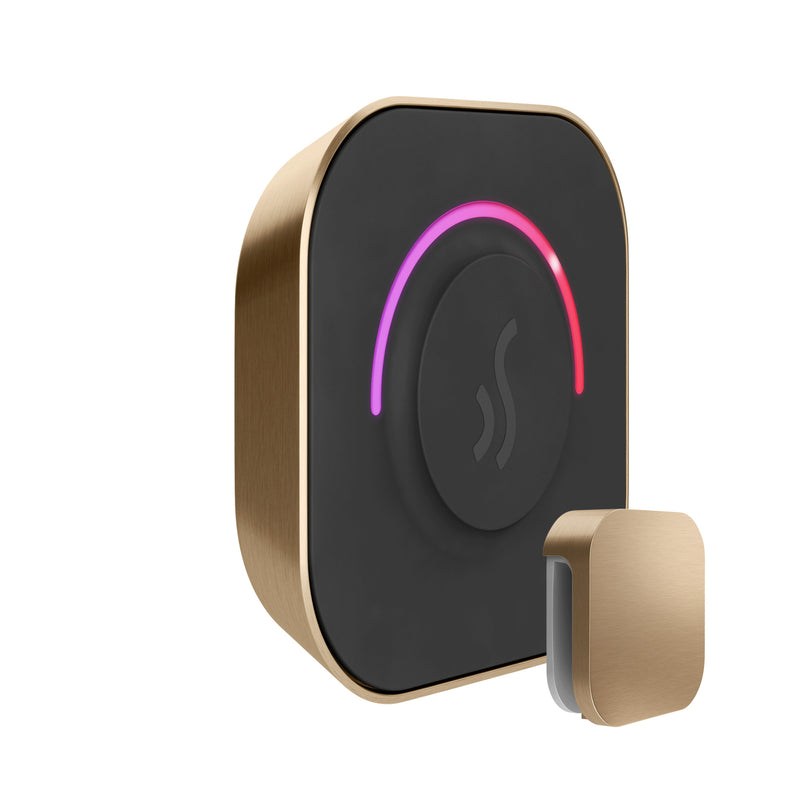 Mr. Steam TempoTouch Steam Shower Control and Steamhead — Brushed Bronze