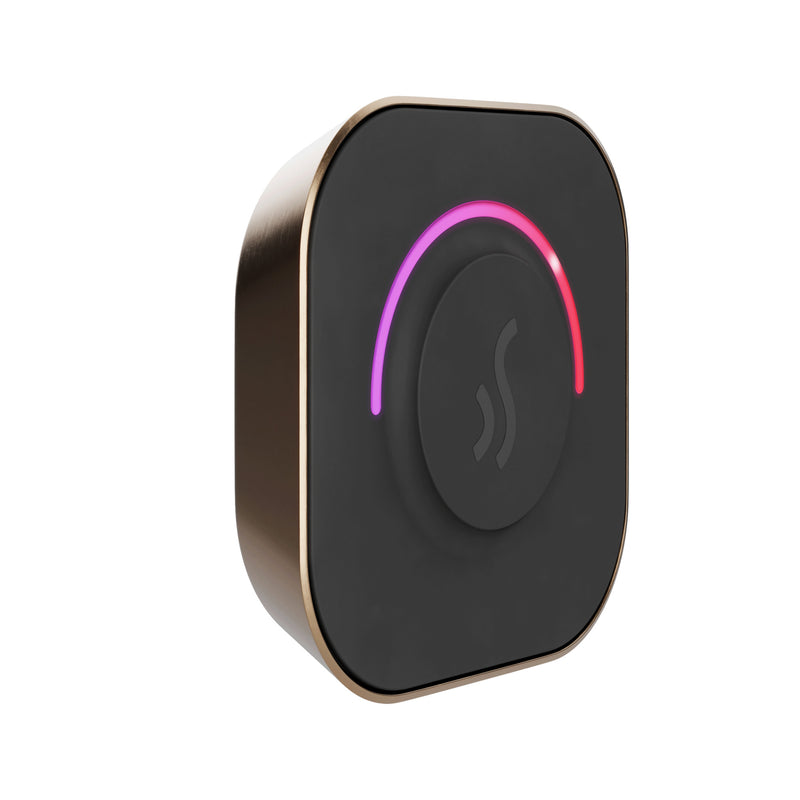 TempoTouch Steam Shower Control and Steamhead in Nouveau Bronze — Nouveau Bronze