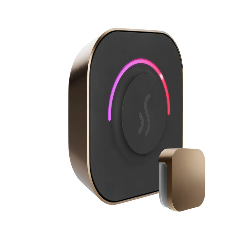 TempoTouch Steam Shower Control and Steamhead in Nouveau Bronze — Nouveau Bronze