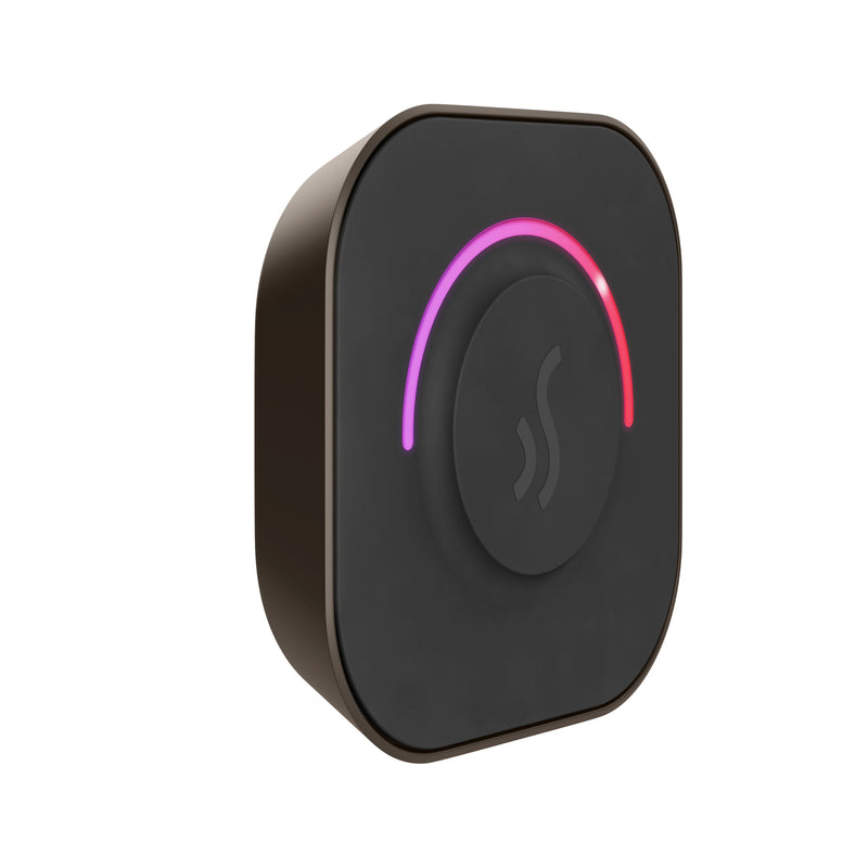TempoTouch Steam Shower Control and Steamhead in Oil-Rubbed Bronze — Oil-Rubbed Bronze