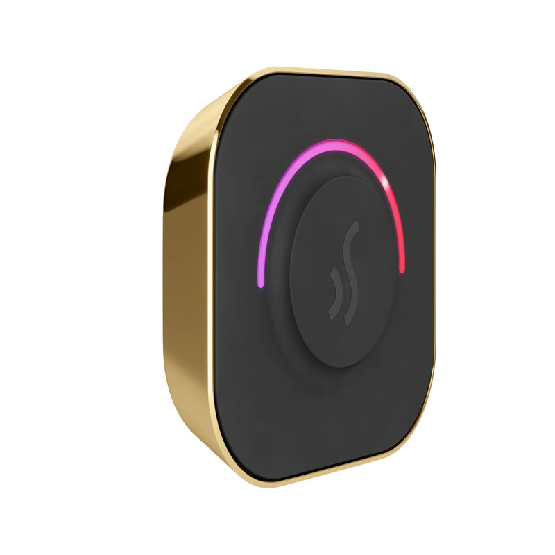 TempoTouch Steam Shower Control and Steamhead in Polished Brass — Polished Brass