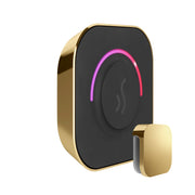 TempoTouch Steam Shower Control and Steamhead in Polished Brass — Polished Brass