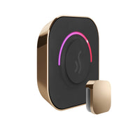 TempoTouch Steam Shower Control and Steamhead in Polished Gold — Polished Gold