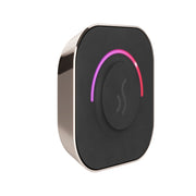 TempoTouch Steam Shower Control and Steamhead in Polished Nickel — Polished Nickel