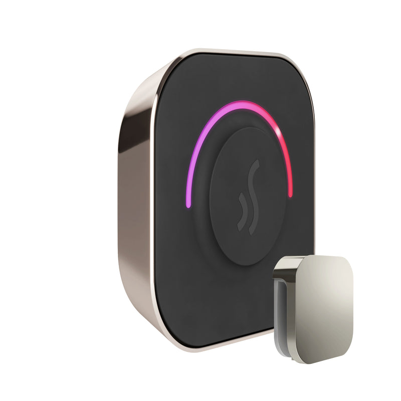 TempoTouch Steam Shower Control and Steamhead in Polished Nickel — Polished Nickel