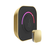 TempoTouch Steam Shower Control and Steamhead in Satin Brass — Satin Brass