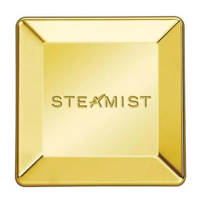 Elegance in Steam: Steamist 3199 Square Steamhead