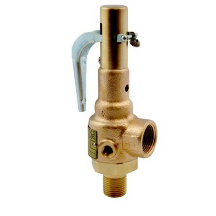 Mr. Steam 99297V Safety Valve, 15 PSIG, 1", CU2500/C2500-CU3000/C3000