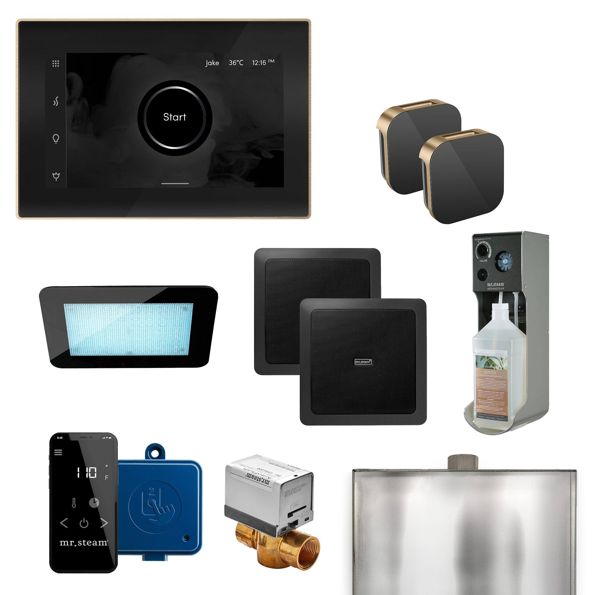 Mr. Steam XDream Control Package - Thumbnail 4