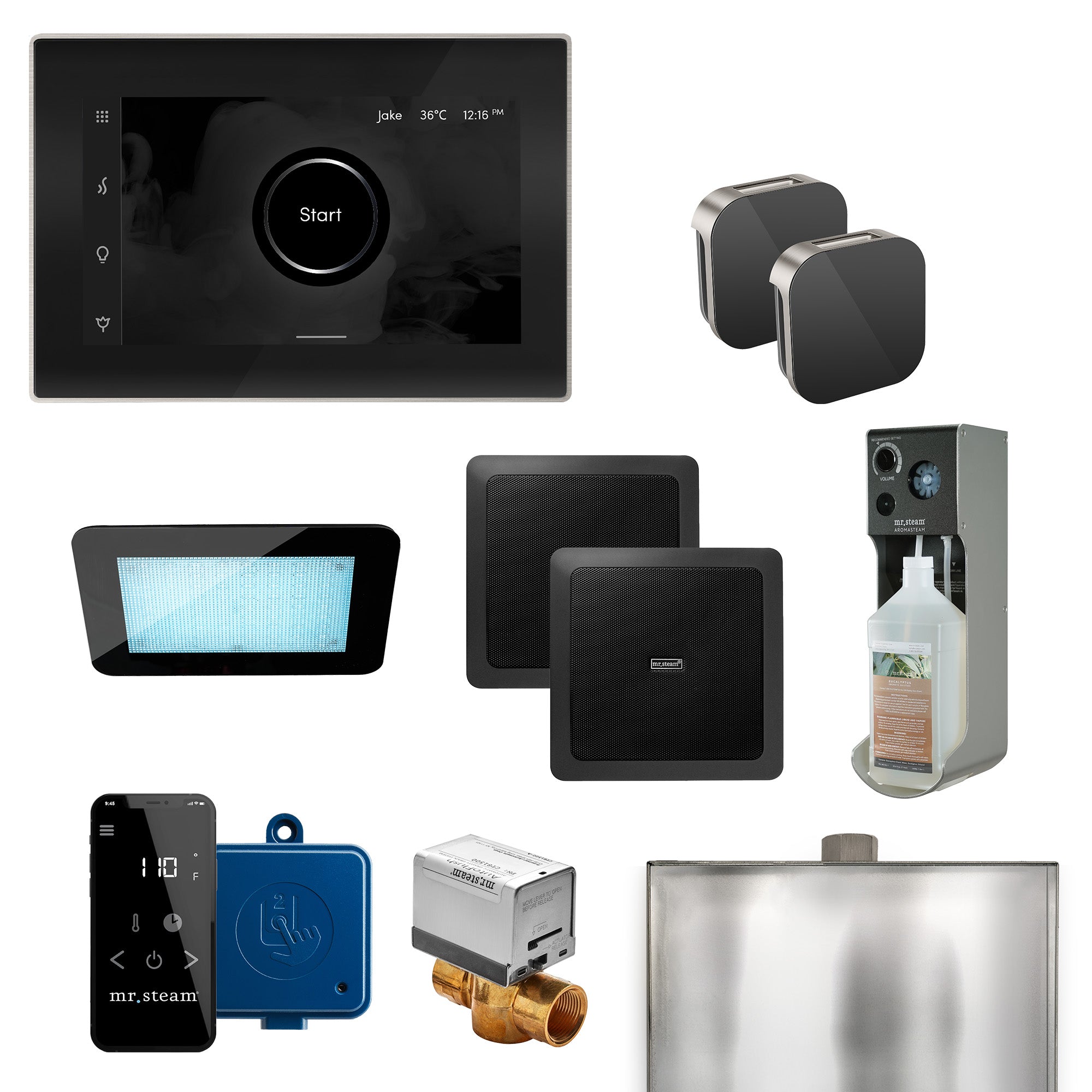 Mr. Steam XDream Control Package - Thumbnail 5