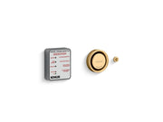 Kohler Invigoration Single Digital Steam Adapter Kit — Vibrant Brushed Moderne Brass