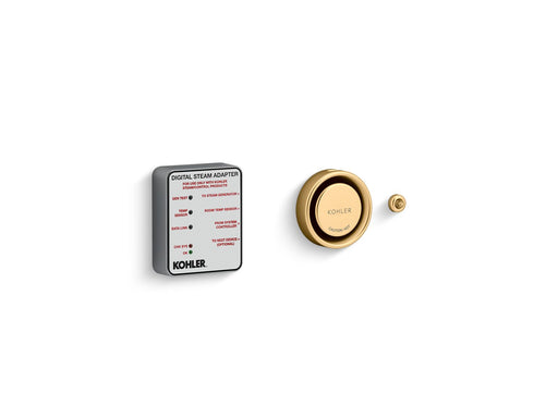 Kohler Invigoration Single Digital Steam Adapter Kit — Vibrant Brushed Moderne Brass