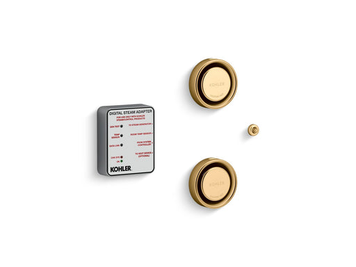 Kohler Invigoration Tandem Digital Steam Adapter Kit — Vibrant Brushed Moderne Brass